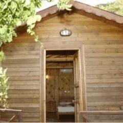 Changa Hotel Бунгало с различными типами кроватей фото 7