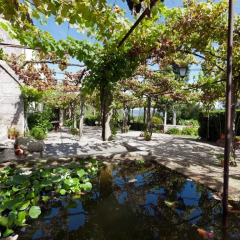 Отель Casa de Abbades