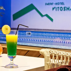 Отель Vitosha Park 4* Стандартный номер