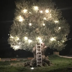 Отель Masseria Gelsi Лечче фото 7