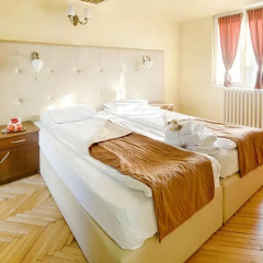 Fontana Hotel 3* Стандартный номер фото 23