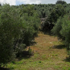 Отель Casale Ré Стандартный номер фото 3