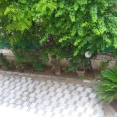 Отель Nayan Homestay