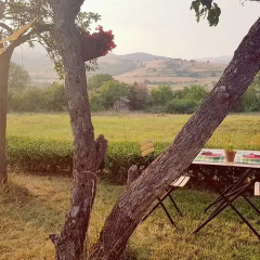 Отель Cob camp Ихтиман фото 4