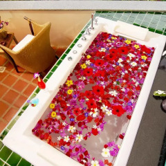 Отель Mangosteen Ayurveda & Wellness Resort 4* Семейный люкс с двуспальной кроватью фото 2
