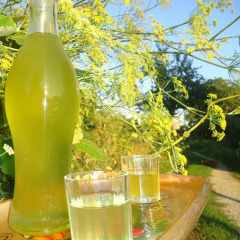 Отель Agriturismo ZÌ Carmine Аджерола бассейн