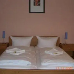 Hotel Pension Rheingold 2* Стандартный номер с различными типами кроватей фото 13