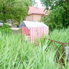 Отель Ezerkiemis Литва, Тракай - отзывы, цены и фото номеров - забронировать отель Ezerkiemis онлайн фото 2