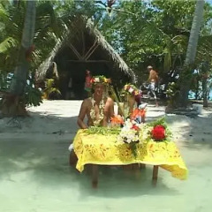 Отель Pension Hibiscus Tahaa