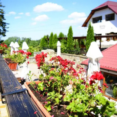 Отель Complex Hanul Muresenilor 4* Стандартный номер с различными типами кроватей фото 15