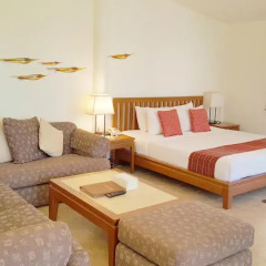 Отель Birds & Bees Resort 3* Стандартный номер с двуспальной кроватью фото 11