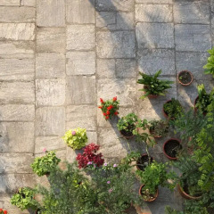Отель Swayambhu View Guest House Непал, Катманду - отзывы, цены и фото номеров - забронировать отель Swayambhu View Guest House онлайн фото 4