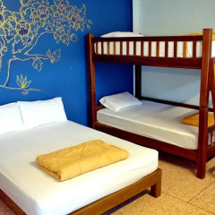 Отель No.7 Guest House 2* Стандартный семейный номер с двухъярусной кроватью фото 4