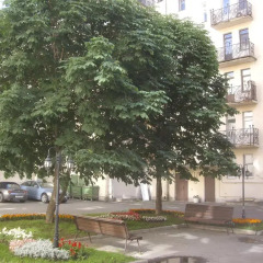 Гостиница Tuchkov 3 Minihotel парковка