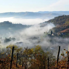 Отель Cascina San Michele Костиглиоле-д'Асти приотельная территория
