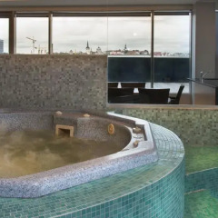 Отель Hestia Hotel Seaport Эстония, Таллин - - забронировать отель Hestia Hotel Seaport, цены и фото номеров бассейн