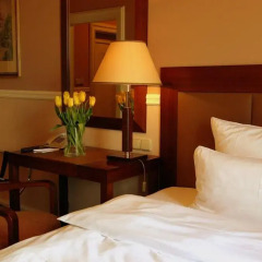 Отель Esplanade Prague 5* Стандартный номер с различными типами кроватей