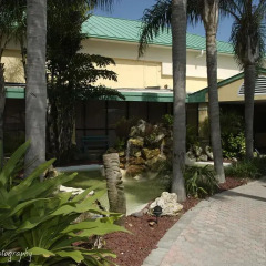 Отель Comfort Inn and Suites Resort Cocoa Beach США, Какао-Бич - отзывы, цены и фото номеров - забронировать отель Comfort Inn and Suites Resort Cocoa Beach онлайн фото 7