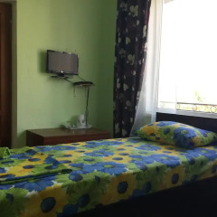 Гостиница Alpic Guest House удобства в номере