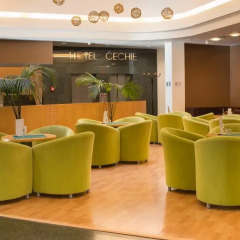 Hotel Cechie Praha интерьер отеля