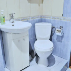 Апартаменты Apartment Kamennaya 1 ванная