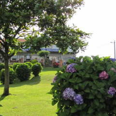 Hotel Migal фото 4