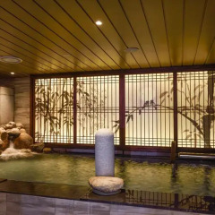 Отель Dormy Inn SEOUL Gangnam бассейн фото 3