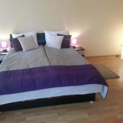 Апартаменты Ho-Bi Oktogon Room & Apartment Будапешт комната для гостей фото 4