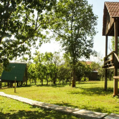 Отель Nature Lodge 2* Бунгало с различными типами кроватей фото 7
