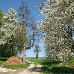 Отель Ferienhof Rieger фото 11
