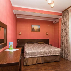 Гостиница Пальма 3* Стандартный номер с разными типами кроватей фото 3