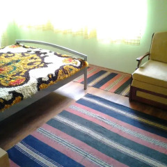 Отель The Bakardjievi's House Боженци развлечения