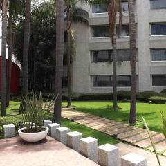 Отель Royal Pedregal Мехико