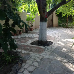 Отель My family B&B