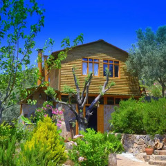 Отель Olive Garden Kabak 2* Бунгало фото 5