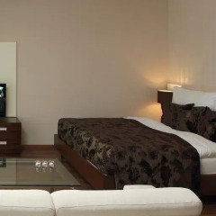 Golden Fish Hotel Apartments Пльзень комната для гостей фото 5