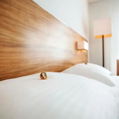 Отель ARCOTEL Castellani Salzburg 4* Номер Комфорт с различными типами кроватей фото 4