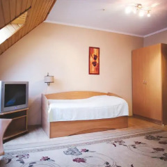 VIP Hotel Стандартный номер разные типы кроватей фото 4