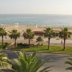 Kleopatra Celine Hotel 3* Стандартный номер с различными типами кроватей фото 4