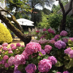 Отель Chambre D'hotes La Villa Des Cedres Франция, Лион - отзывы, цены и фото номеров - забронировать отель Chambre D'hotes La Villa Des Cedres онлайн фото 8
