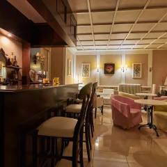 Hotel Viky гостиничный бар