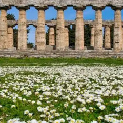 Отель Il Giardino di Tonia B&B Италия, Торре-Аннунциата - отзывы, цены и фото номеров - забронировать отель Il Giardino di Tonia B&B онлайн приотельная территория фото 2