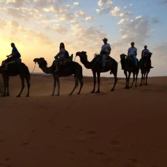Отель Camel Bivouac Merzouga Марокко, Мерзуга - отзывы, цены и фото номеров - забронировать отель Camel Bivouac Merzouga онлайн спортивное сооружение