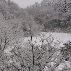 Отель Ryokan Ichinoi Минамиогуни фото 3