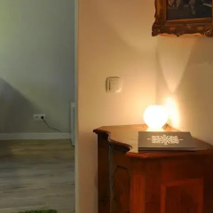 Отель Bluedanube Apartments Австрия, Вена - отзывы, цены и фото номеров - забронировать отель Bluedanube Apartments онлайн удобства в номере фото 2