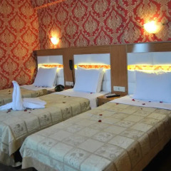 Hotel Star Park комната для гостей фото 10
