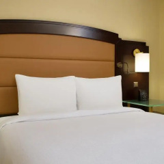 Гостиница Hilton Москва Ленинградская 5* Гостевой номер Hilton с двуспальной кроватью фото 4