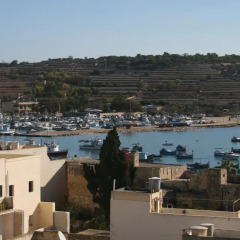 Отель Harbour Lodge 3* Стандартный номер с различными типами кроватей