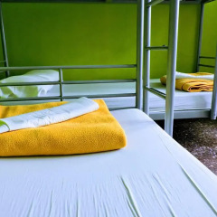 Feetup Yellow Nest Hostel Barcelona Кровать в женском общем номере фото 9