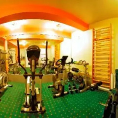 Отель Alfa Hotel és Wellness Centrum Венгрия, Силвашварад - отзывы, цены и фото номеров - забронировать отель Alfa Hotel és Wellness Centrum онлайн фитнесс-зал